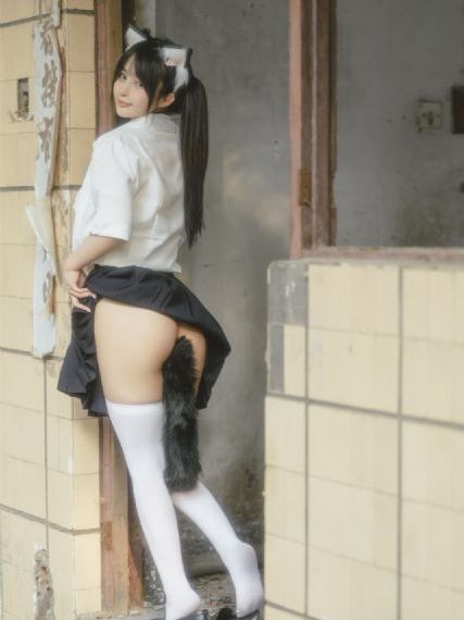 野浪花在线观看