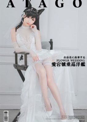 女人帮电视剧免费完整版播放